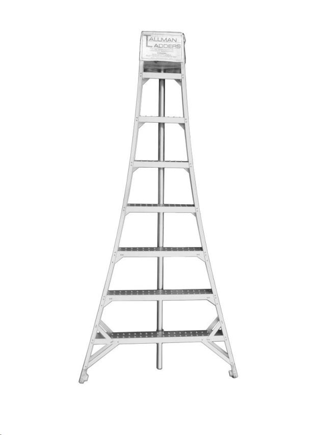 Where to find ladder orchard 8 foot in Seattle