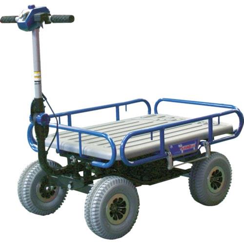 Rental store for cart flat battery drive 24 inch x 32 inch in Seattle, Shoreline WA, Greenlake WA, Lake City WA, Greater Seattle metro