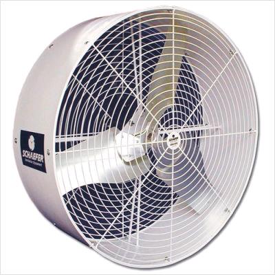 Rental store for fan 36 inch in Seattle, Shoreline WA, Greenlake WA, Lake City WA, Greater Seattle metro